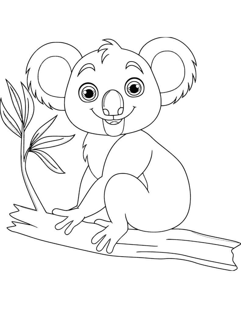 Koala