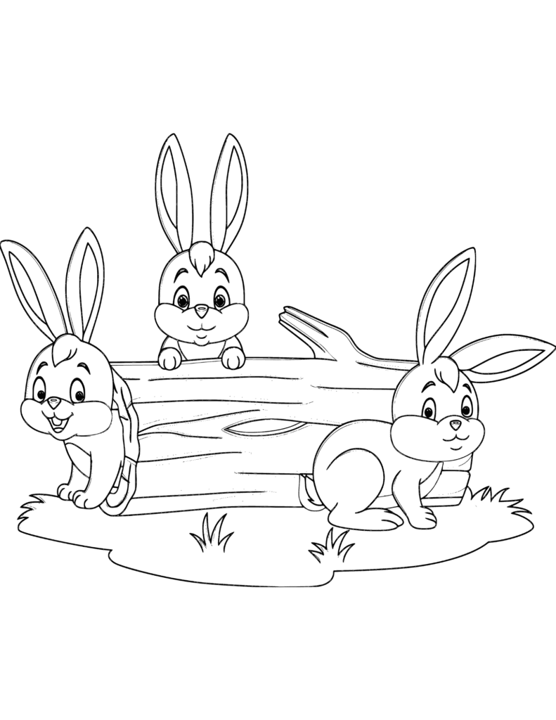 Rabbits