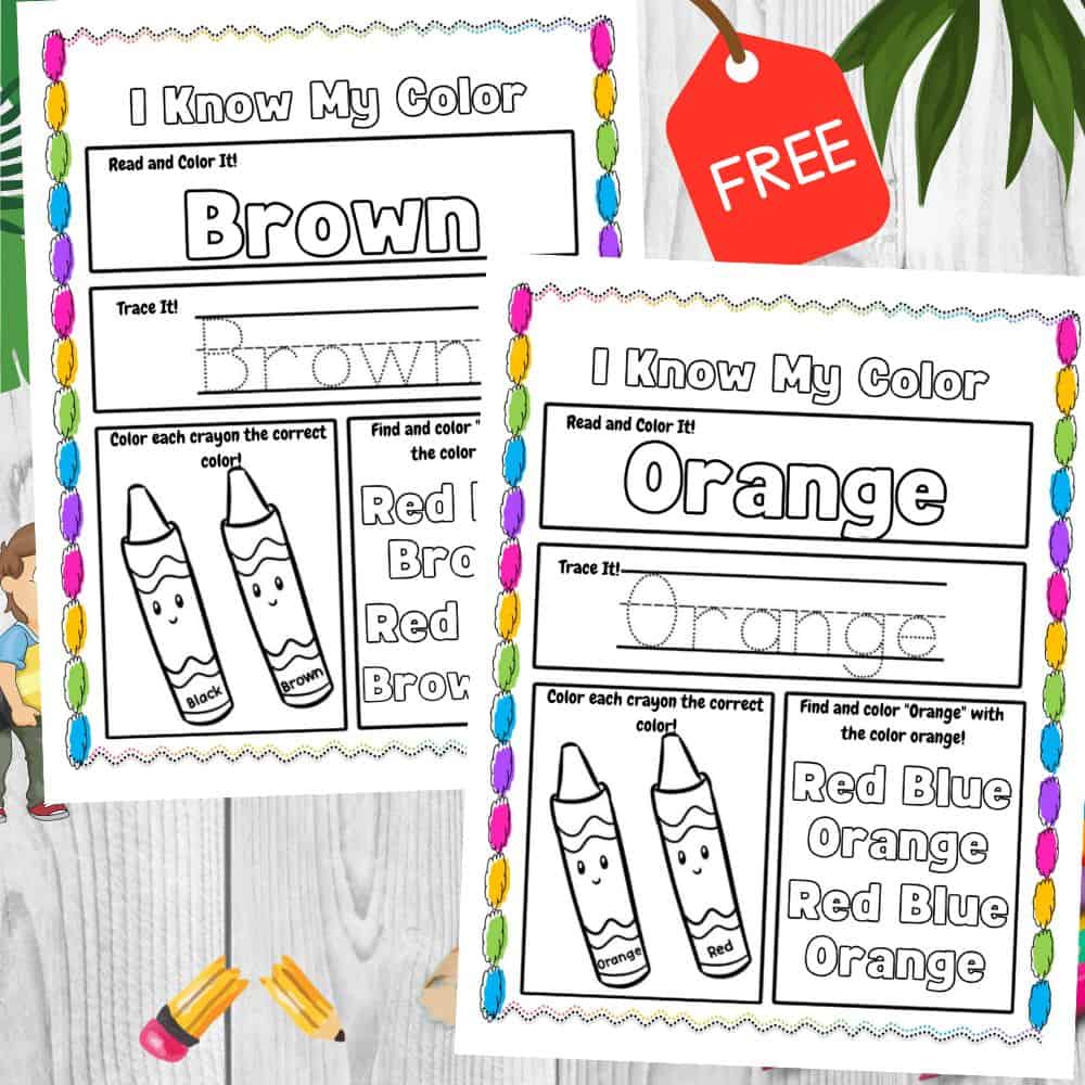 I Know My Colors Worksheet For Kids