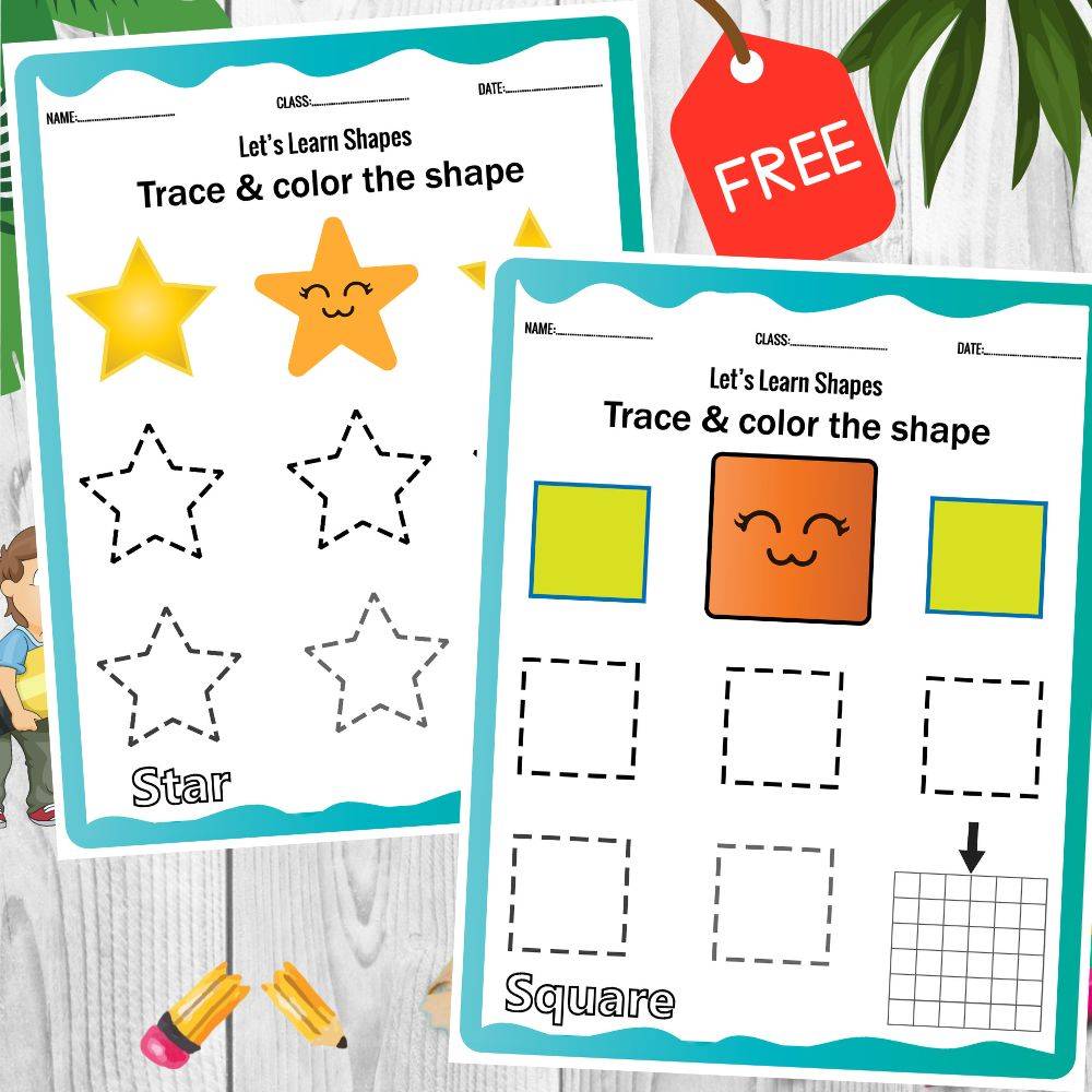Shapes Activity Worksheet