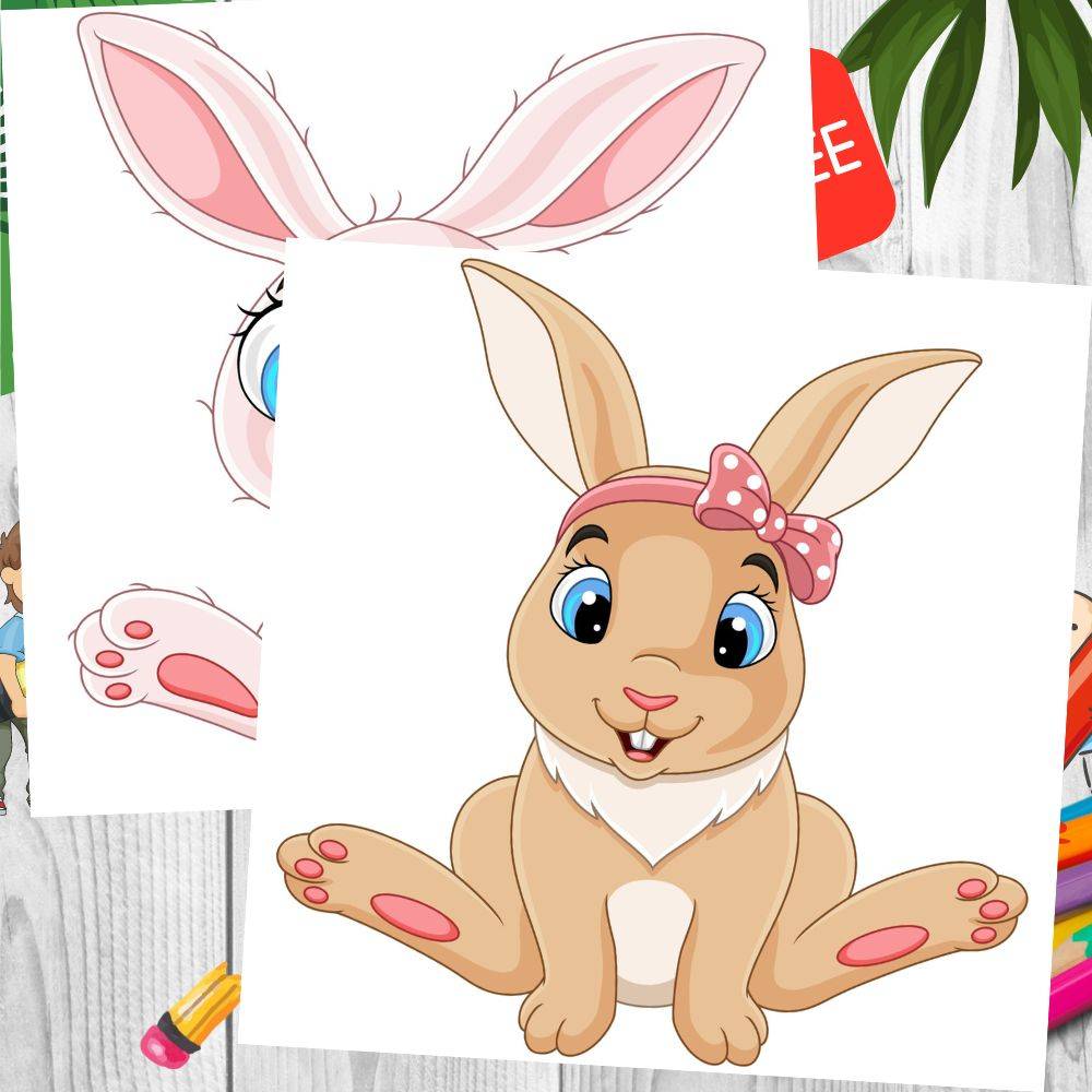 Cute Baby Animals Illustrations